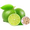 Generic Benoon - Semi di limone, 20 semi di limone, produits, non OGM, par plante d'orticoltura, citron, semi di bois