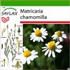 SAFLAX - Camomilla - 300 semi - Con substrato - Matricaria chamomilla
