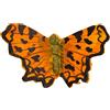 WildlifeGarden Farfalla Comma Wildlife Garden