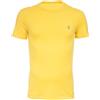 POLO RALPH LAUREN T-SHIRT IN COTONE POLO RALPH LAUREN 512 GIALLO Uomo