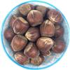 Italia Spezie, Nocciole in guscio crude, non tostate, Italiane 500 g