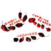 amazseb 5x carolina reaper 5x naga bhut jolokia ghost pepper 5x habanero pods il peperoncino intero più piccante del mondo essiccato