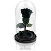 Aluisi Fiori - Rosa Stabilizzata Nera Senza LED - Rosa Eterna Stabilizzata - Rosa Stabilizzata Vera in Cupola di Vetro - Fiori Stabilizzati - Regalo per Mamma - Made in Italy