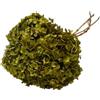 Generico Ortensia STABILIZZATA | Vari Colori | 20x60 cm Bomboniera Allestimento Feste Cerimonie Fiori Fiore Vero (Verde Muschio)