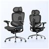 SIHOO Doro C300 V2 Sedia da Ufficio Ergonomica, Sedia da Scrivania in Rete con Braccioli 8D e Supporto Lombare Girevole, Sedia da Computer con Poggiatesta 3D, Inclinazione per l'Ufficio Domestico