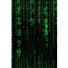 1art1 Matrix Poster Codice, Pioggia Verde Stampa 91x61 cm