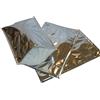 POLOPLAST PZ 10 SACCHETTO TERMICO CM 28 X 47 COLORE ARGENTO BUSTA RICHIUDIBILE PER TRASPORTO ALIMENTI CONGELATI SURGELATI CHIUSURA ZIPLOCK IN PET