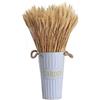 TONONE 100 pezzi Spighe di grano essiccate naturali di grano essiccato, per accessori bouquet, decorazioni per la casa o per feste 40 cm,Colore Primario