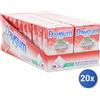 Daygum 20x Multipack Chewing Gum Gomma Daygum Protex Fragola