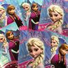 Disney SET 10 QUADERNONI FROZEN A RIGHE ASSORTITI
