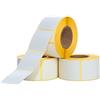 SHOPPARE - 3 rotoli da 500 etichette termiche - misura 100 x 100 foro 40 mm. 1500 pezzi adatte ufficio, scuola, casa e lavoro