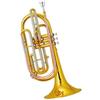 JTYUERWQ Trombone regolabile Trombone da marcia in Sib con pistone in acciaio inossidabile laccato oro e tubo principale in ottone