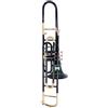 ONLIEST OVERSEAS Valvola trombone, passo BB, qualità in ottone con custodia per il trasporto e bocchino incluso (oro nero)