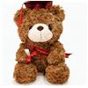 FGen Orsacchiotto per la Laurea, 23 cm, Orsetto di Peluche, Regali Laurea, Diploma e Cappello di Dottore, per Scuola Laurea Decoro, Regali di Laurea per Studenti (Cappello rosso, marrone scuro)
