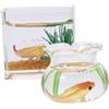 Alasum 2pezzi Fish Bowl Decorative Models Di Pz Per Miniature e Decorazioni Per Casa Accessori Per Gioco Di Ruolo e Feste