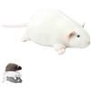Ysaca Peluche di Ratto Chonky, Realistico Carino Topo Grasso Peluche, Morbido Jumbo Paffuto Cuscino di Peluche per Letto Divano Decorazione Camera, Regalo Abbracciabile per Adulti (Bianco, 50cm)