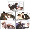 Prophila Collection GermaniaD (Germania.Germania) 2402-2406 (Completa Edizione) MNH ** MNH 2004 Gatti (Francobolli per i Collezionisti) Gatti/Grandi felini (Leoni/tigri/Leopardi...)