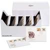 Leuchtturm 345417 Scatola Intercept L 180 per Monete, Carte e Document
