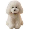 HOMEXYLYL Peluche barboncino, animale di pezza realistico for cani soffici simpatico cucciolo realistico for decorazioni for la casa e regali di compleanno for ragazze(White,35cm/13.7in)