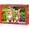 Castorland 1000 El. SzczeniĂta Welsh Corgi C-104659-2 [Puzzle]