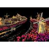Figured'Art Pittura per raschiare formato A3 (29,7 x 42 cm) - Tulipani nei Paesi Bassi - Kit completo di Scratch Painting Card Gratta