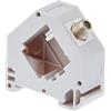 Delock Adattatore per guida DIN con presa Keystone F a presa F