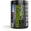 Net Integratori RECOVERY CELL LIPOSOMIALE - 330 g Gusto Neutro - Integratore Post Workout Avanzato per Recupero Muscolare e Sintesi Proteica con Glutamina Creatina BCAA in forma Liposomiale