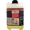 CleanPrince 5 Litro Schimmel-Ex Schimmelex Chlorreiniger di cleanprince Anti Muffa Contiene Cloro Stampo Superiore Combattere Macchie Verdigris Fungo Rinnovare Kältebrücke Distruggere Pulitore Pulizia Detergente