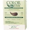 Colorerbe Multipack 6x TINTURA COLOR ERBE CASTANO CHIARO (5.0)-Colorazione Permanente in Gel-Senza Ammoniaca,Resorcina,Parabeni-Copertura Ottimale Capelli Bianchi-Nutre-Protegge-Illumina-MadeInItaly