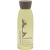 PRESENT-MORE - Shampoo Hotel 30ml Flower - Confezione da 250 Pezzi - Shampoo Monouso Senza Allergeni - Fragranza Tè Verde - Ideale per Hotel e B&B