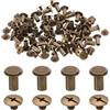 QUARKZMAN 50 set M5 x 10 mm Chicago viti in metallo con testa a croce viti di rilegatura post chiodo rivetto vite perno rivetti per fai da te cintura borsa artigianato legatoria, bronzo