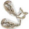 VALICLUD 2 Pezzi Maniglia per Mobili in Ferro Bianco Stile Mare Pomelli Singolo Foro per Armadi da Elegante e Resistente per Casa