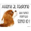 Lovelytiles CAVALIER KING mod 2 Attenti al padrone qui l'unico normale sono io! CANE CARTELLO TARGA IN METALLO (20x30)