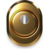 Briconess.com Defender per porte blindate con corpo in acciaio ottone lucido Cipierre 325C - 22x8xH22 mm