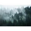 Runa Art Carta da parati fotografica foresta nebbia Moderno Vello Soggiorno Camera Da Letto Sala - Made in Germany - verde 9552010a