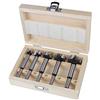 Oxfo KIT 5 FRESE FRESA LEGNO GAMBO 8MM CERNIERE MISURE 15 20 25 30 35MM