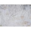 murando Carta da parati Foglie di Palma 500x350 cm Fotomurali in TNT Murale alla moda Decorazione da Muro XXL Poster Gigante Design Carta per pareti Natura Aspetto concreto Botanico b-C-10264-a-a
