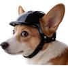Generic Casco per cani di piccola taglia, con sottogola regolabile e fori per le orecchie, per gattini, per attività all'aperto, moto, equitazione, campeggio, viaggi