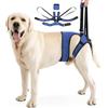 Duuclume Pettorina di supporto per zampe posteriori per cani, regolabile, morbida, per sollevare la gamba posteriore, per cani feriti, disabili, taglia media e grande (blu, M)