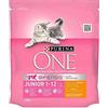PURINA ONE Crocchette Gatto Junior 1-12 Mesi, Pollo, 450 g (confezione da 6)