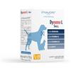 DYNAMOPET |Dynamo L Small - Alimento Complementare per le Difese dell'Organismo di Cani e Gatti che vivono in Aree Calde e Umide, 10 Stick da 10 g - uno Stick ogni 20 kg di Peso dell'Animale