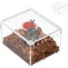Generico Terrario per lumache - Recinto per rettili 10,5x8,5x6 cm, Habitat per insetti, Vetrina per esposizione di animali in acrilico trasparente | Usi stabili di alloggi per animali esotici durante la