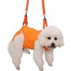 Salyeeluly Imbracatura Sollevamento Cani, Sling Regolabile Supporto Zampe, Ausilio Traspirante Leggero per Cani Anziani o con Mobilità Ridotta per Uso Esterno e Allenamento