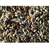 Generico Mangime Premium per Canarini 1Kg Mix Naturale con Granuli VAM Ricco di Vitamine, Aminoacidi e Minerali - Alimentazione Completa per Salute, Canto e Piumaggio - Prodotto Italiano di Qualità