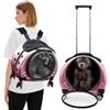 PETCUTE Zaino Trolley per Cani Gatti,Buona Ventilazione,Zaino per Gatti con Tappetino Rimovibile,Comoda Maniglia,Pieghevole Trasportino Gatto con Ruote per Cani Piccoli Gatti Medi Fino 7.5 KG