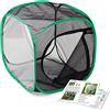 RESTCLOUD Insetto e Farfalla Habitat Cage Terrarium Pop-up 32 x 30 x 30 cm