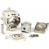 Malossi Macchina da corsa cilindro MALOSSI 172 CCM per Gilera/Piaggio 125 - 180 CCM 2T LC alluminio, 2 Pistone Ring (e), con testa cilindrica, Ø 65,0 mm, uscita su SIP di scarico esteso