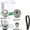 INA Kit Distribuzione con Pompa Acqua INA - 530046330 | Compatibile con: AUDI A3, A3 Sportback, SEAT ALTEA, ALTEA XL, LEON, TOLEDO III, SKODA OCTAVIA II, OCTAVIA II Combi, SUPERB II