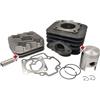 LG-MOTORS POWER ENGINEERING 0303296B - GRUPPO TERMICO CILINDRO COMPLETO 50 cc AD ARIA COMPATIBILE CON STALKER 50 TYPHOON 50 DIESIS 50 FLY 2T 50 LIBERTY 2T 50 NRG POWER DT 50 LX 2T 50 MOJITO 50 2004-2008