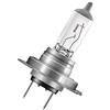 OSRAM TRUCKSTAR PRO H7 Lampada alogena per proiettori 64215TSP +100%, resistenza alle vibrazioni Scatola (1 Pezzo)